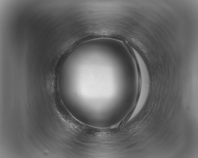 X0000073520544200608141003