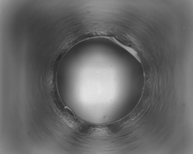 X0000073520548200608141003