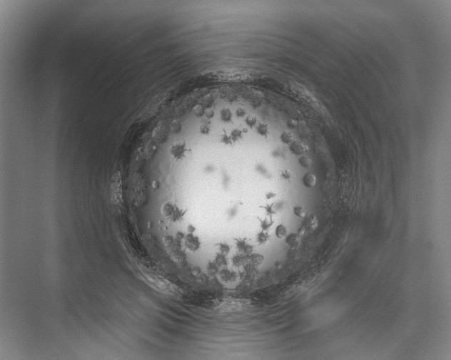 X0000073520549200608141003