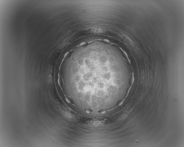 X0000073520553200608141003