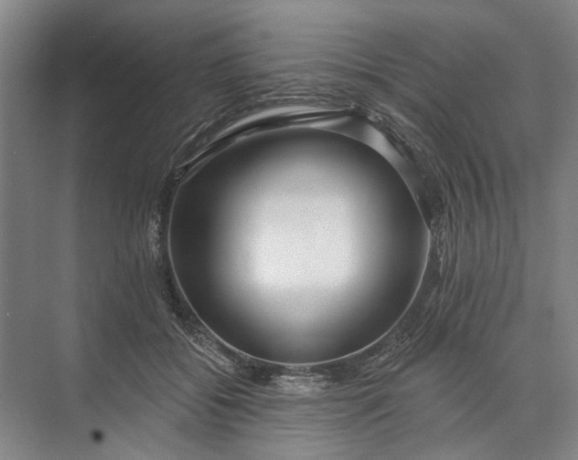 X0000073520556200608141003