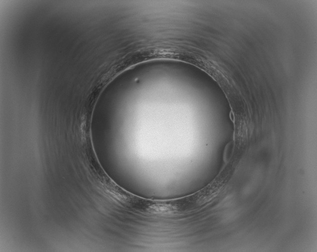 X0000073520557200608141003