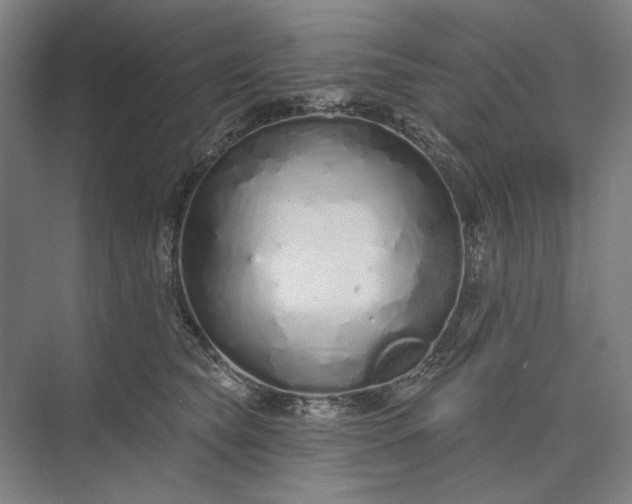 X0000073520565200608141003