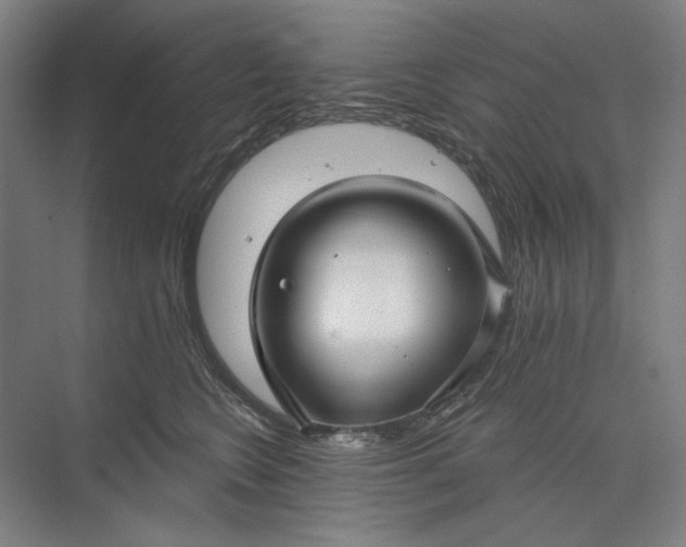 X0000073520566200608141003