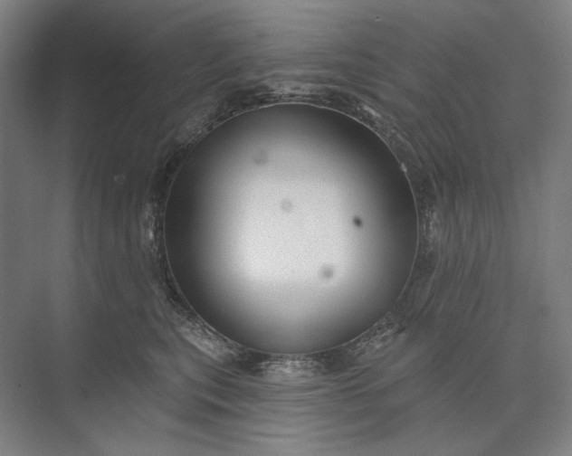 X0000073520567200608141003