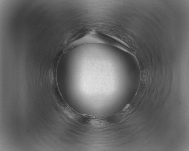 X0000073520568200608141003