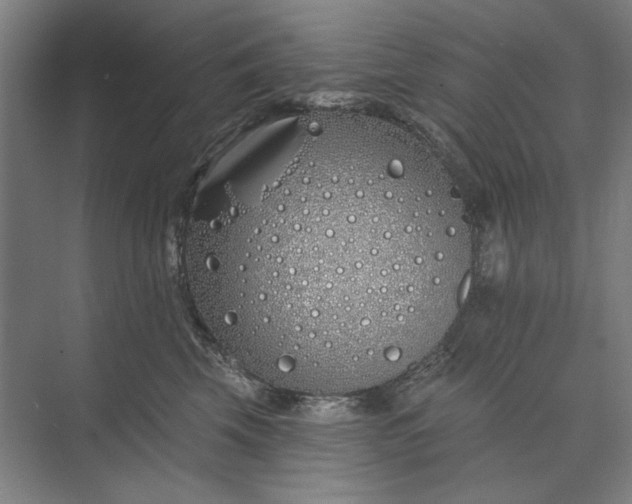 X0000073520569200608141003