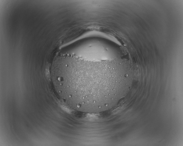 X0000073520573200608141003