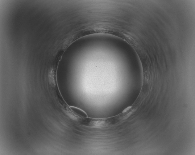 X0000073520575200608141003