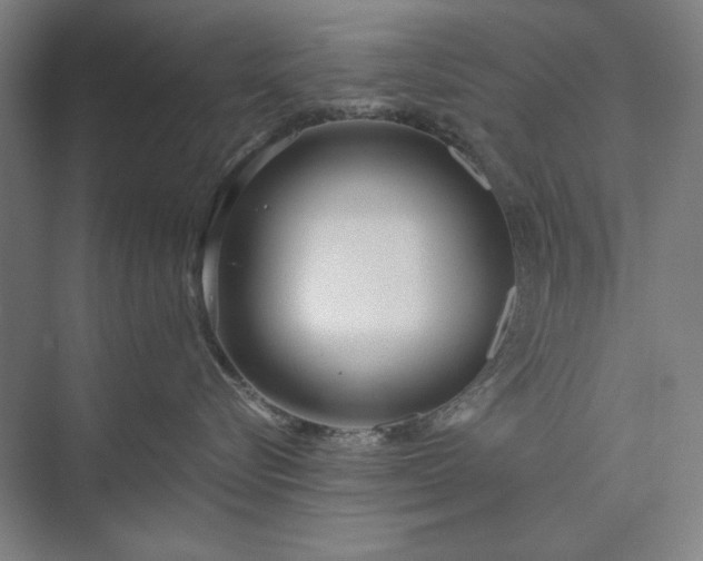 X0000073520576200608141003