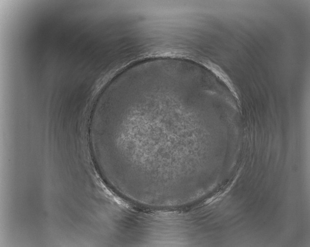 X0000073520577200608141002