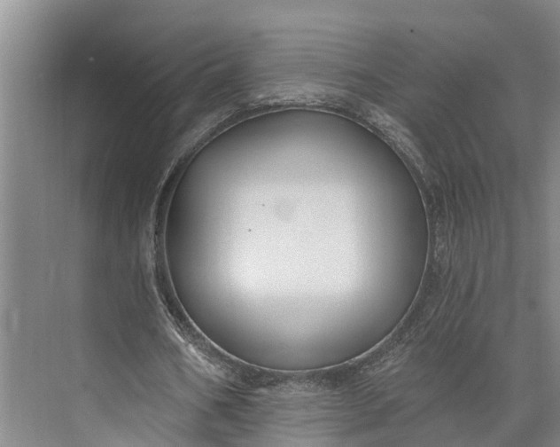 X0000073520578200608141002