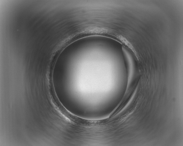 X0000073520581200608141002