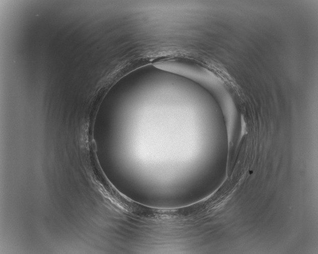 X0000073520585200608141002