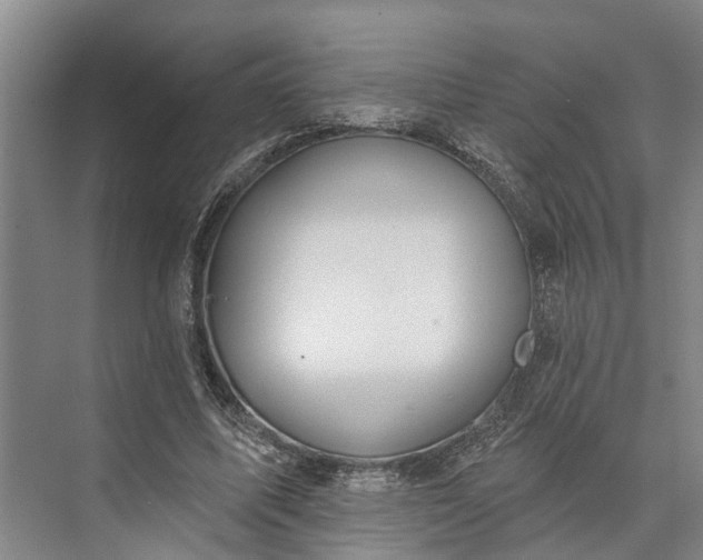 X0000073520587200608141002