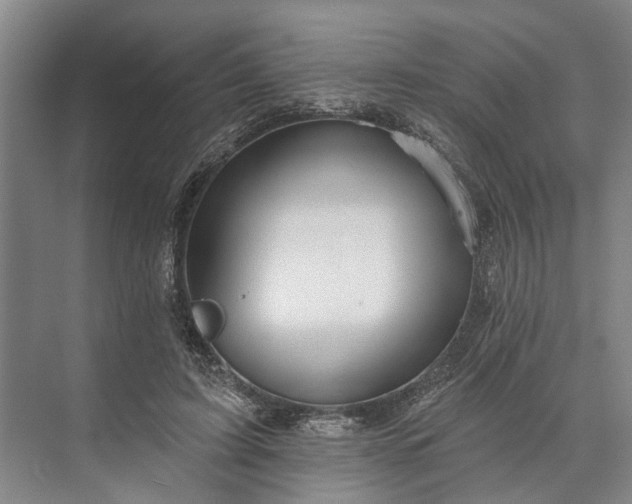 X0000073520595200608141002