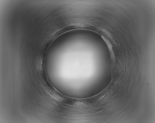 X0000073520596200608141002