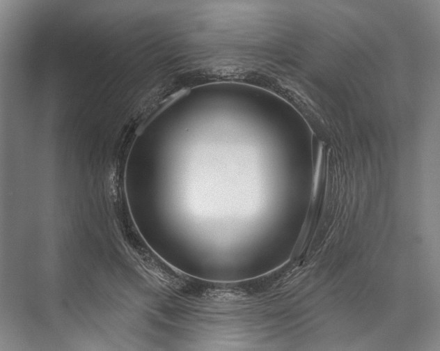 X0000073520597200608141002