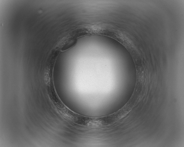 X0000073520599200608141002