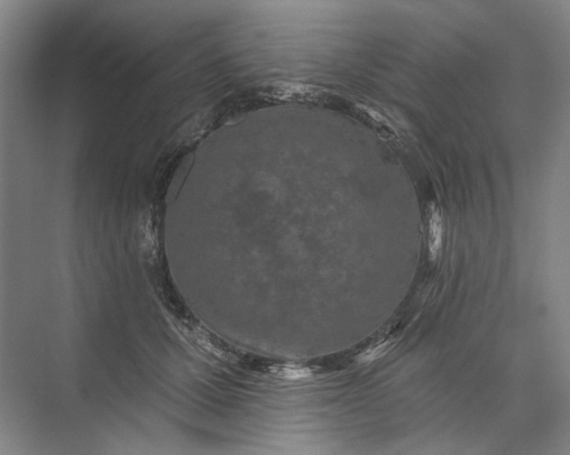 X0000073520607200608141002