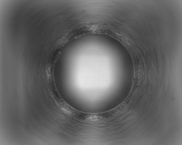 X0000073520611200608141002