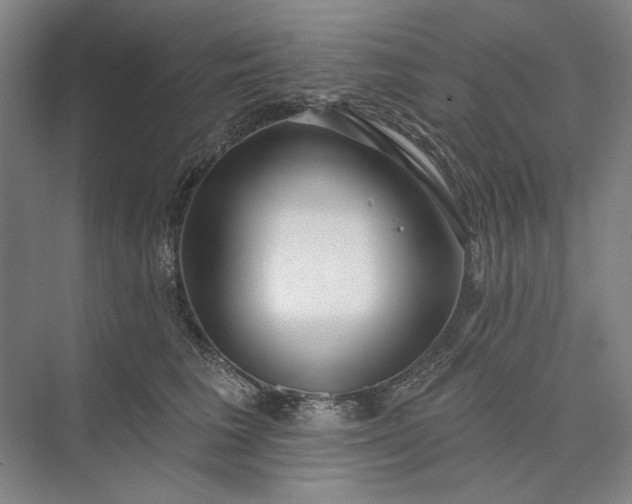 X0000073520613200608141002