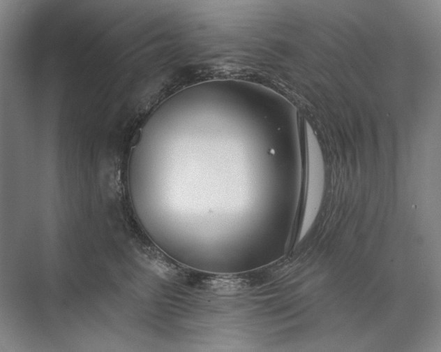 X0000073520615200608141002