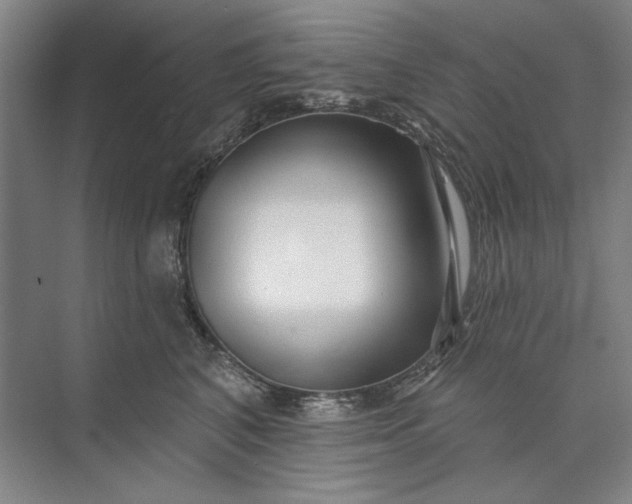 X0000073520616200608141002