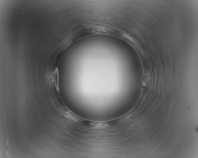 X0000073520621200608141002