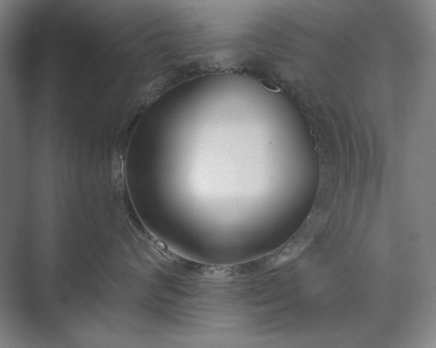 X0000073520624200608141002