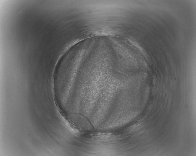 X0000073520626200608141001