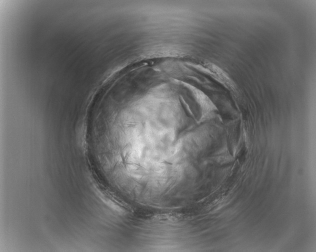 X0000073520627200608141001