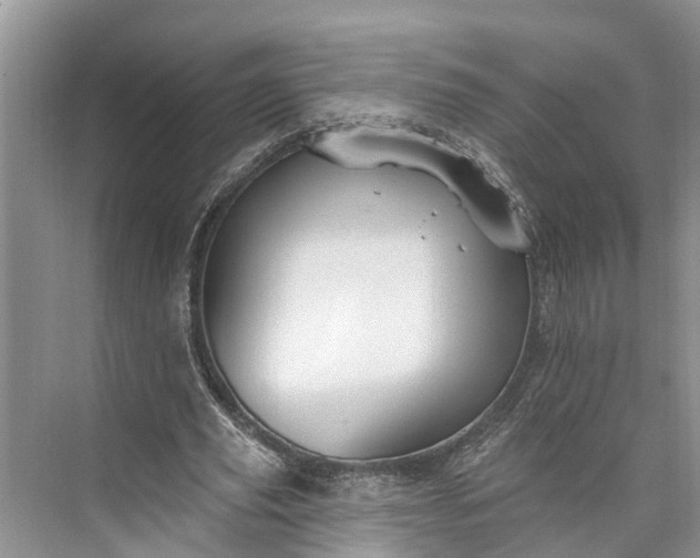 X0000073520629200608141001