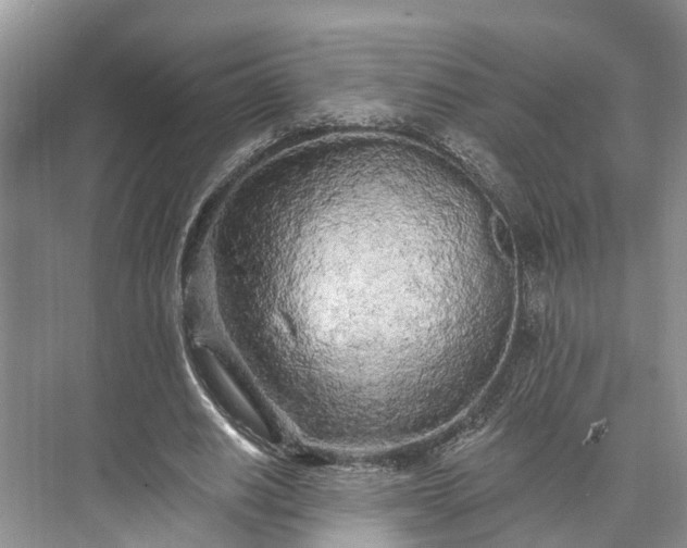 X0000073520630200608141001