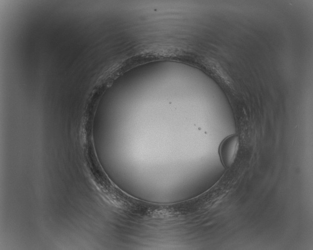 X0000073520635200608141001