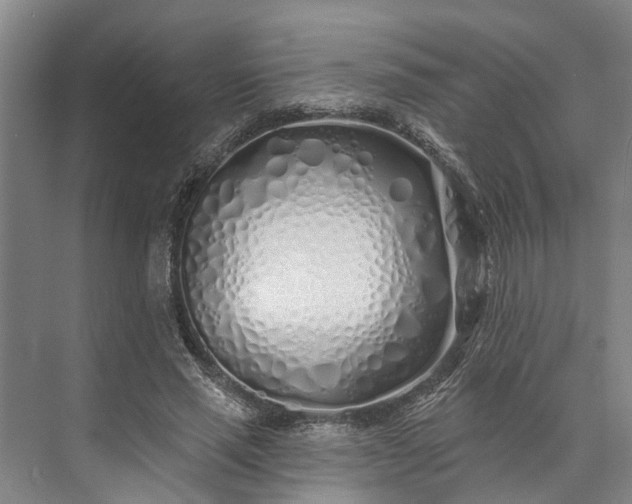 X0000073520637200608141001