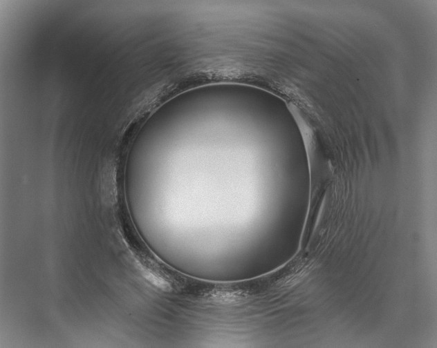 X0000073520638200608141001