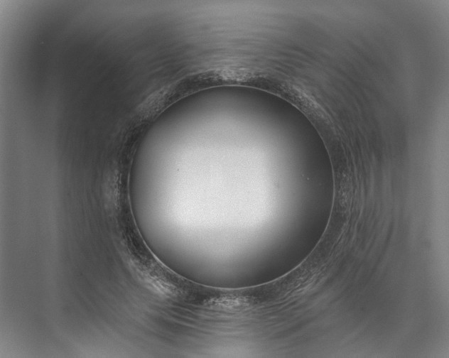 X0000073520639200608141001