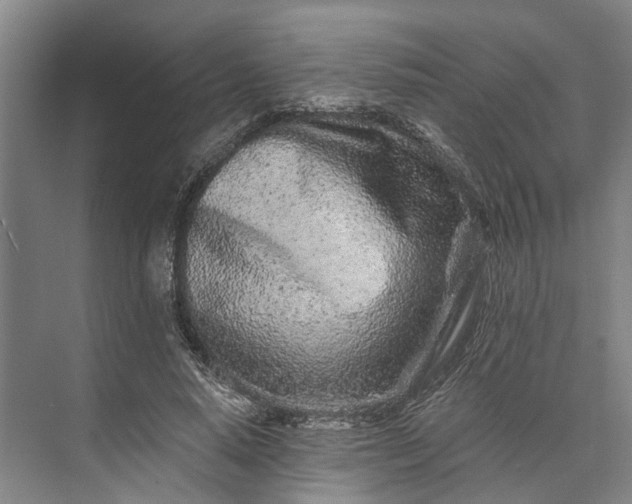 X0000073520640200608141001