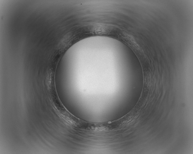 X0000073520645200608141001