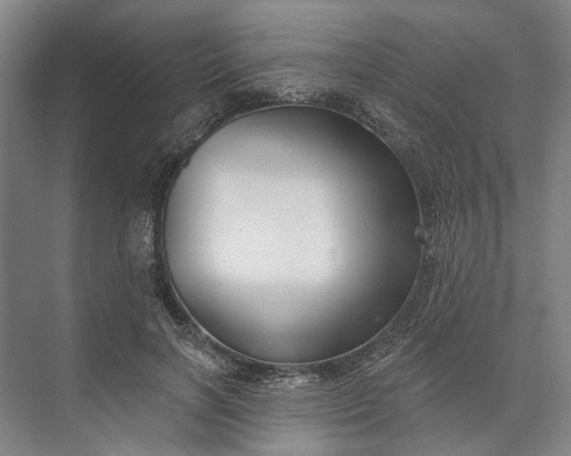 X0000073520646200608141001