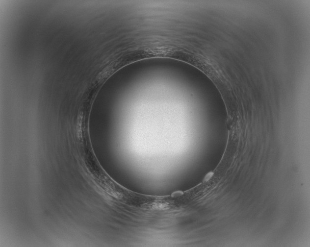 X0000073520647200608141001