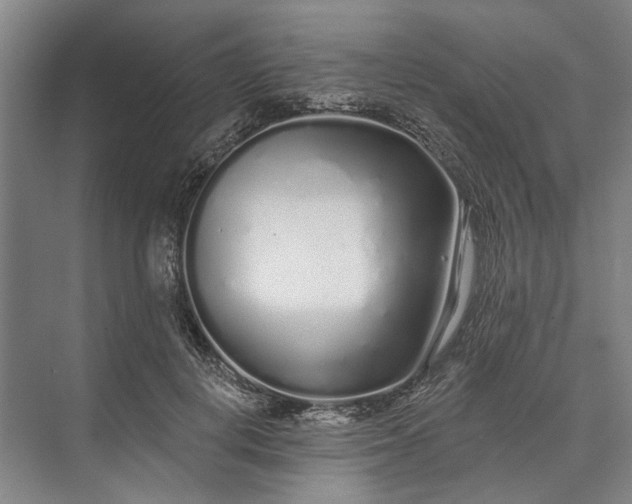 X0000073520648200608141001