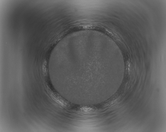 X0000073520650200608141001