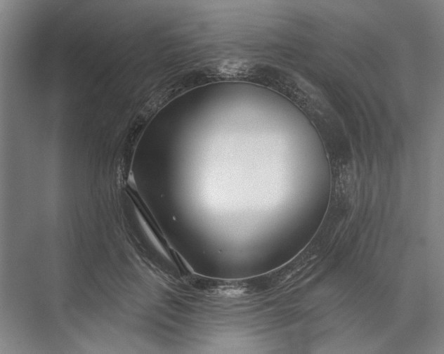 X0000073520651200608141001