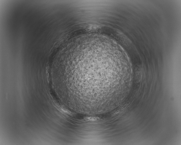 X0000073520654200608141001