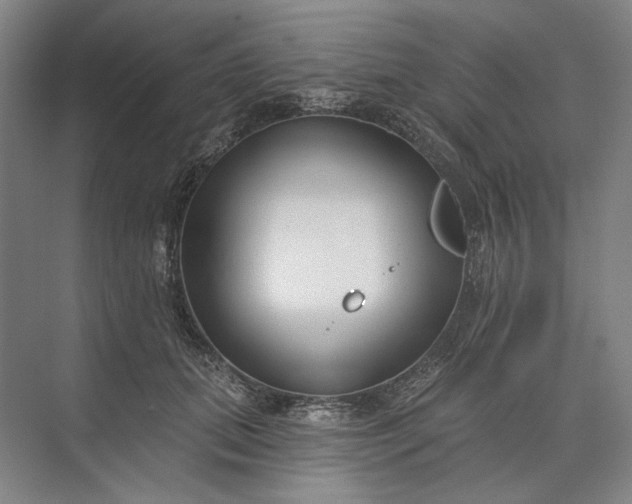 X0000073520655200608141001