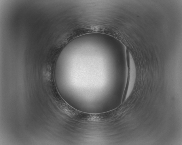 X0000073520656200608141001