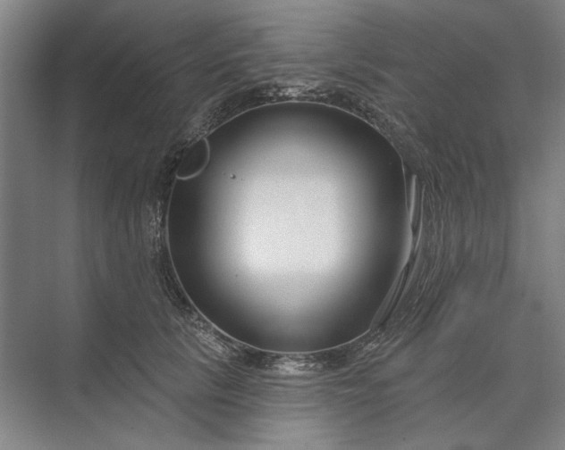 X0000073520657200608141001