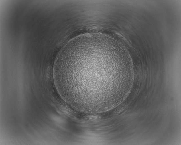 X0000073520659200608141001